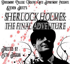 Stage: Sherlock Holmes, The Final Adventure