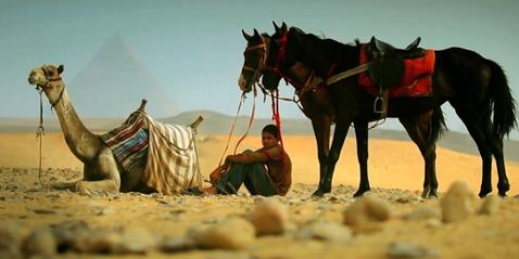 Exhibition: International Homage to the Horse and Other Steeds