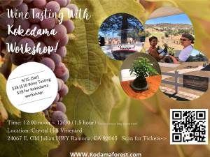 Workshop: Wine and Kokedama