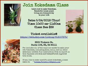Art Workshop: Kokedama