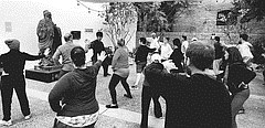 Chinese Tai Chi in the Garden