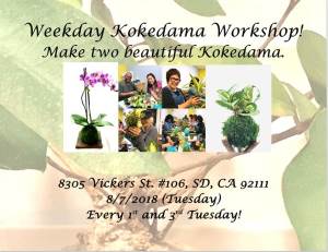 Art: Kokedama