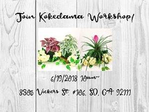 Kokedama Class