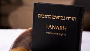 Discussion: Who Wrote the Bible