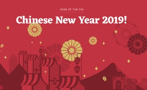 Chinese New Year Gala