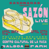 Sazonadas