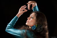 Flamenco Intimo